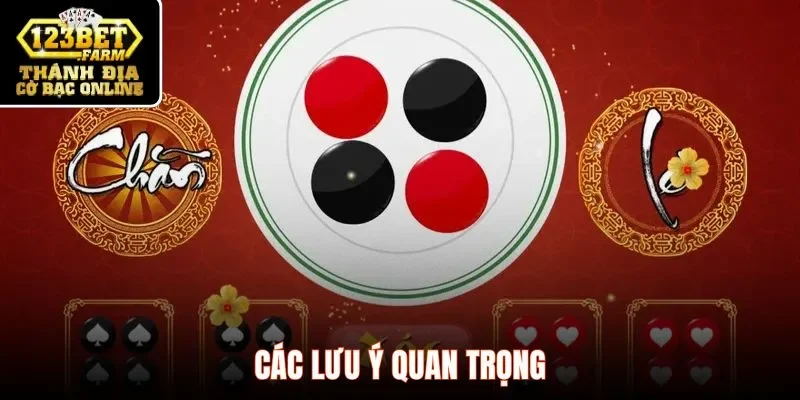 Các lưu ý quan trọng