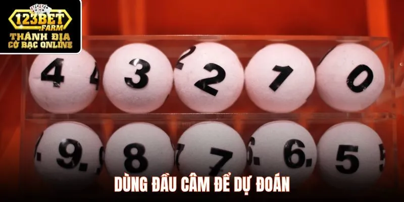 Dùng đầu câm để dự đoán
