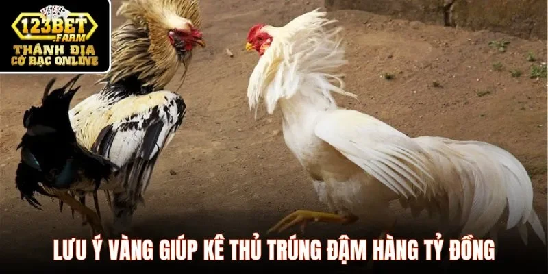 Lưu ý vàng giúp kê thủ trúng đậm hàng tỷ đồng