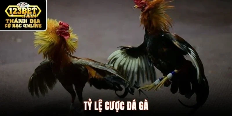 Tỷ lệ cược đá gà